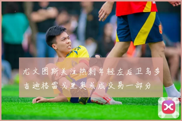 尤文图斯关注热刺年轻左后卫乌多吉迪格雷戈里奥或成交易一部分