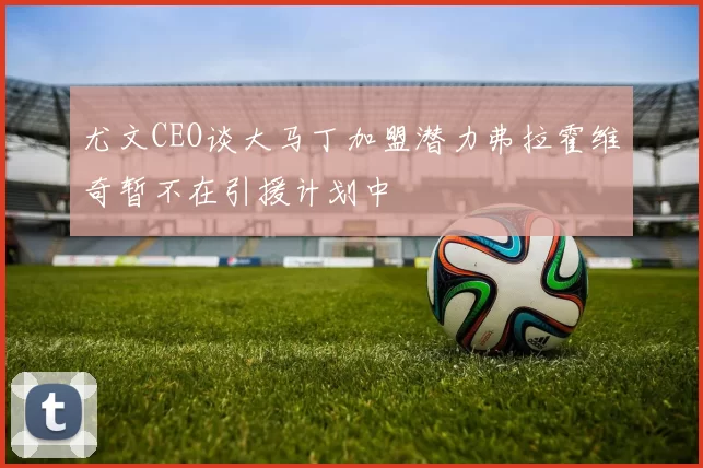 尤文CEO谈大马丁加盟潜力弗拉霍维奇暂不在引援计划中